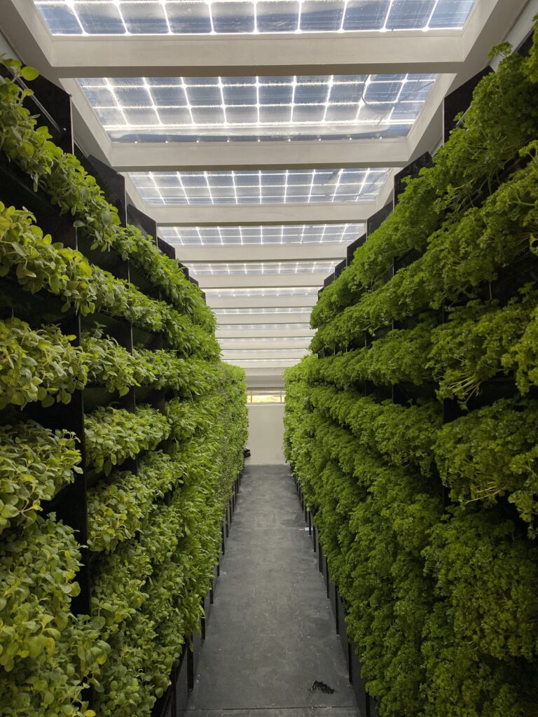 Mit Muskelkraft zum Fortschritt - Handwerk und Werkzeuge als Ausgangspunkt