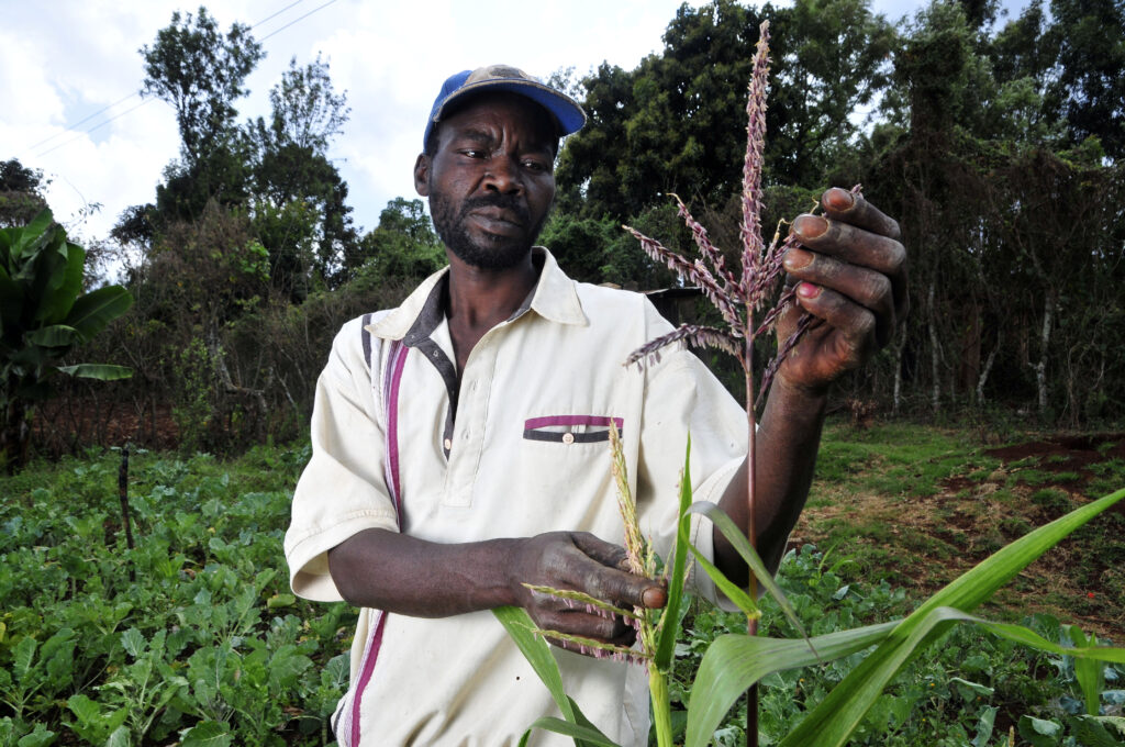 Umweltverträgliche Landnutzung: Mustergut zur Selbsthilfe