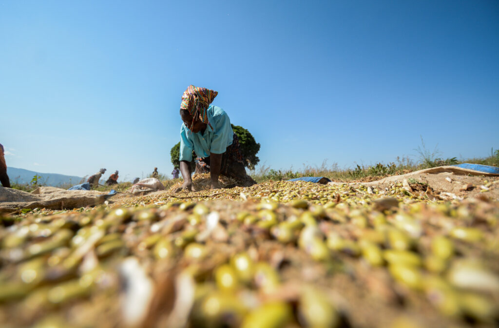 Food supply in Nigeria - productivity progress 2022