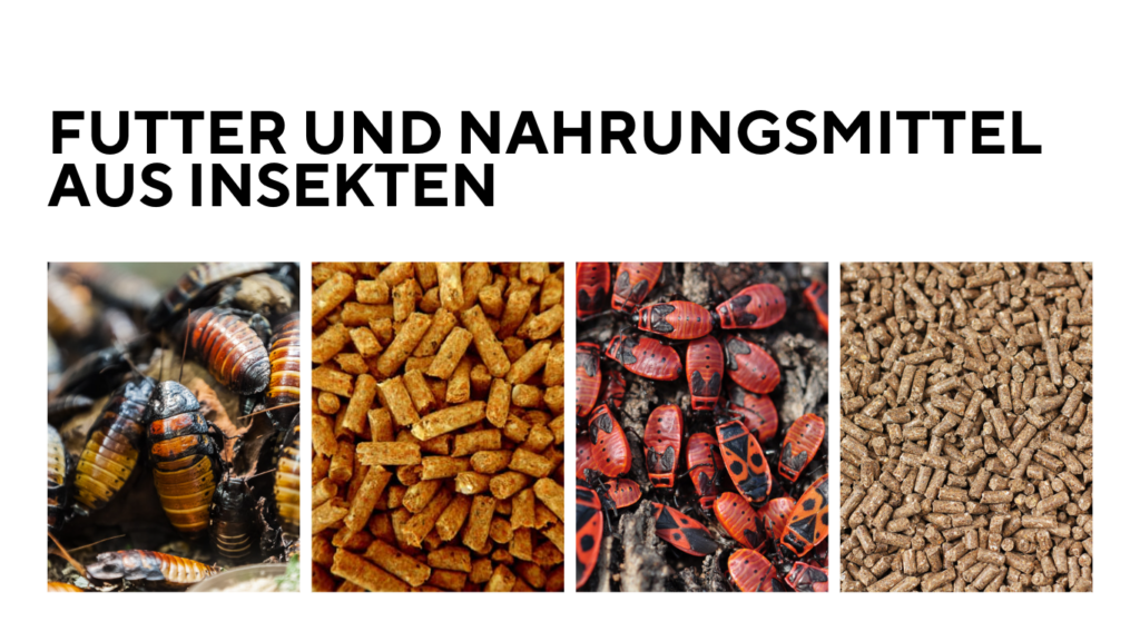 Futter und Nahrungsmittel aus Insekten