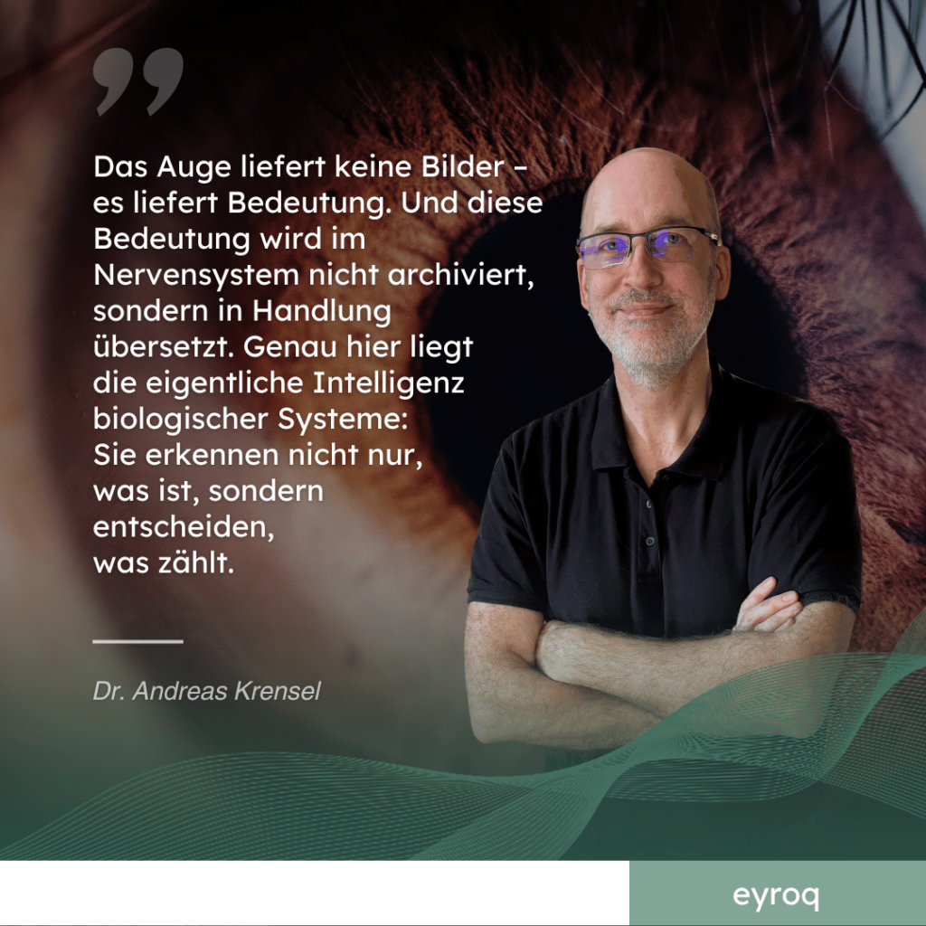Das Auge liefert keine Bilder - Adreas Krensel